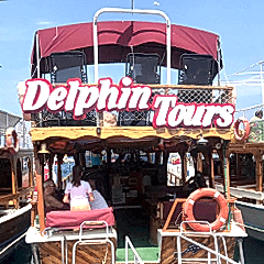 Foça Tekne Turları - Delphin Gezi Teknesi